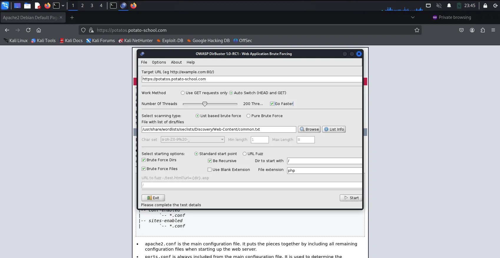 Dirbuster Application Interface