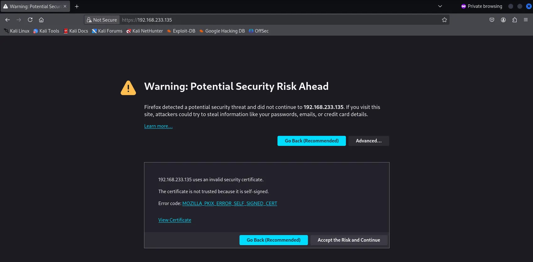 HTTPS_192.168.233.135_Invalid_Security_Certificate